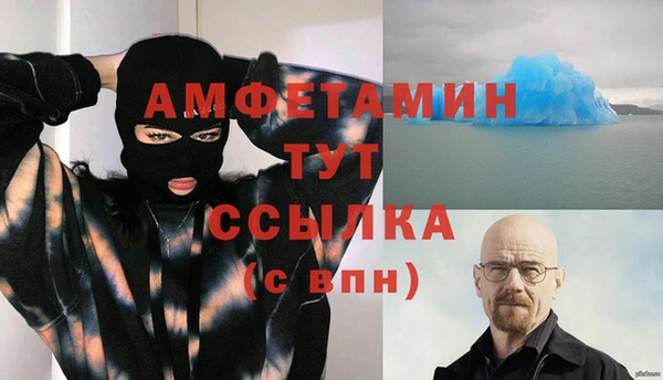 гидра Вязники